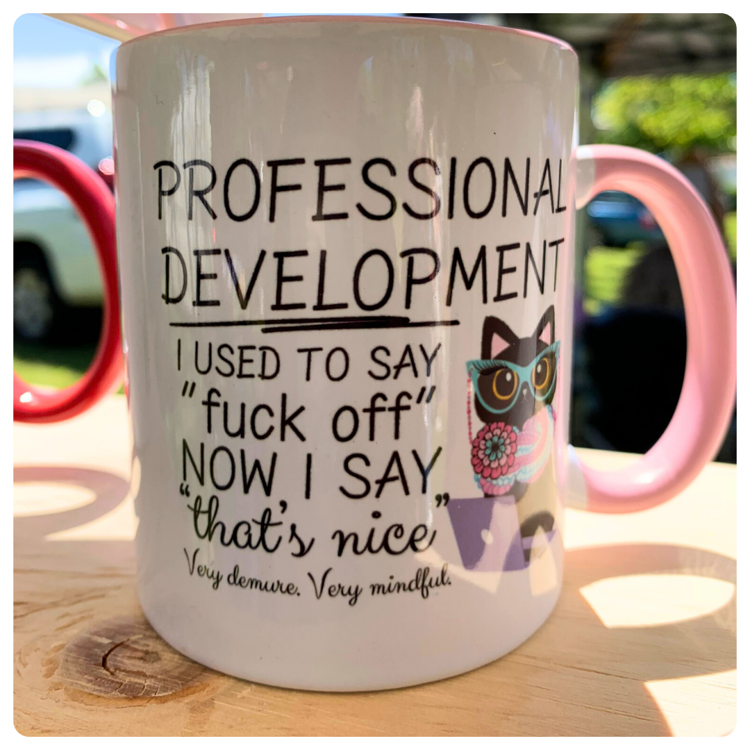 Professional Development - Mug